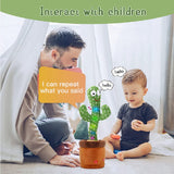 Dancing Cactus Toy