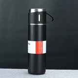 Stainless Steel Insulated Vacuum Flask Set